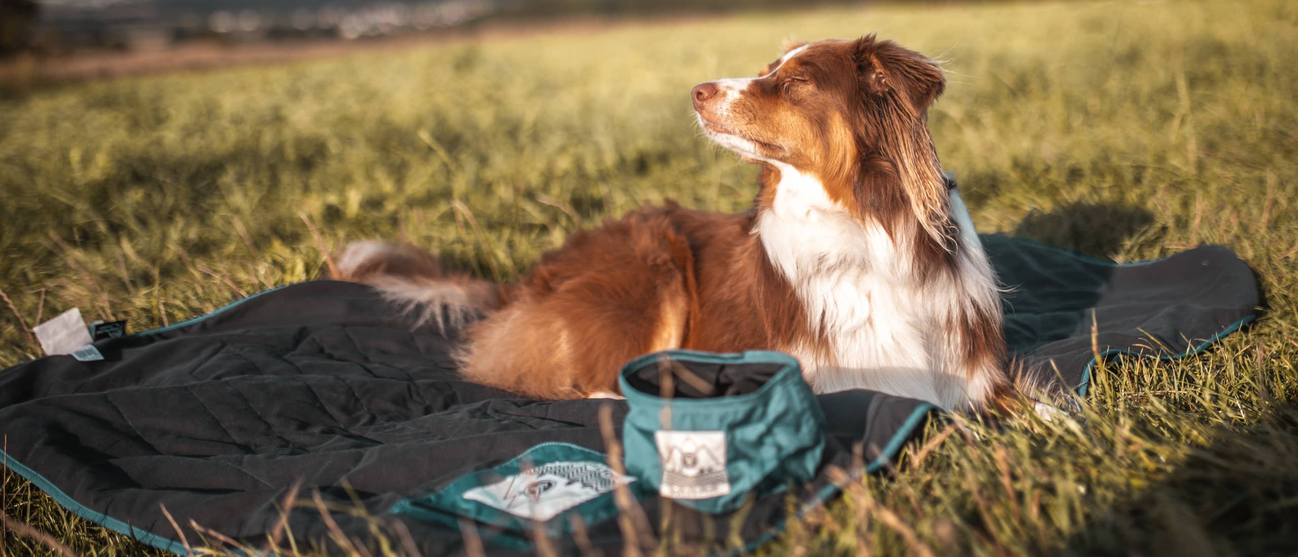 Outdoor pet online blanket